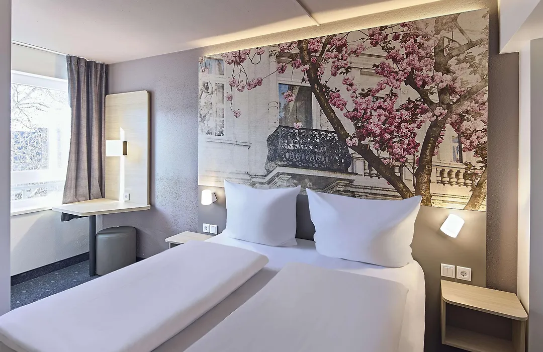 ibis Bonn-1