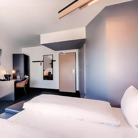 ibis Bonn-2